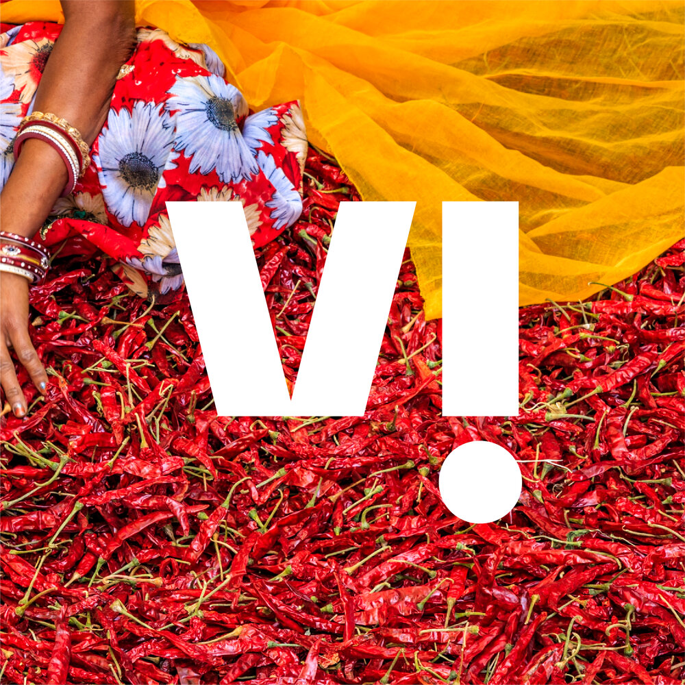 Vi_Logo_Elements_03-30.jpg